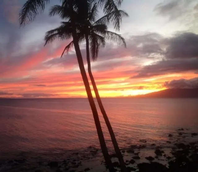 Turtle Cove Home Kahana États-Unis